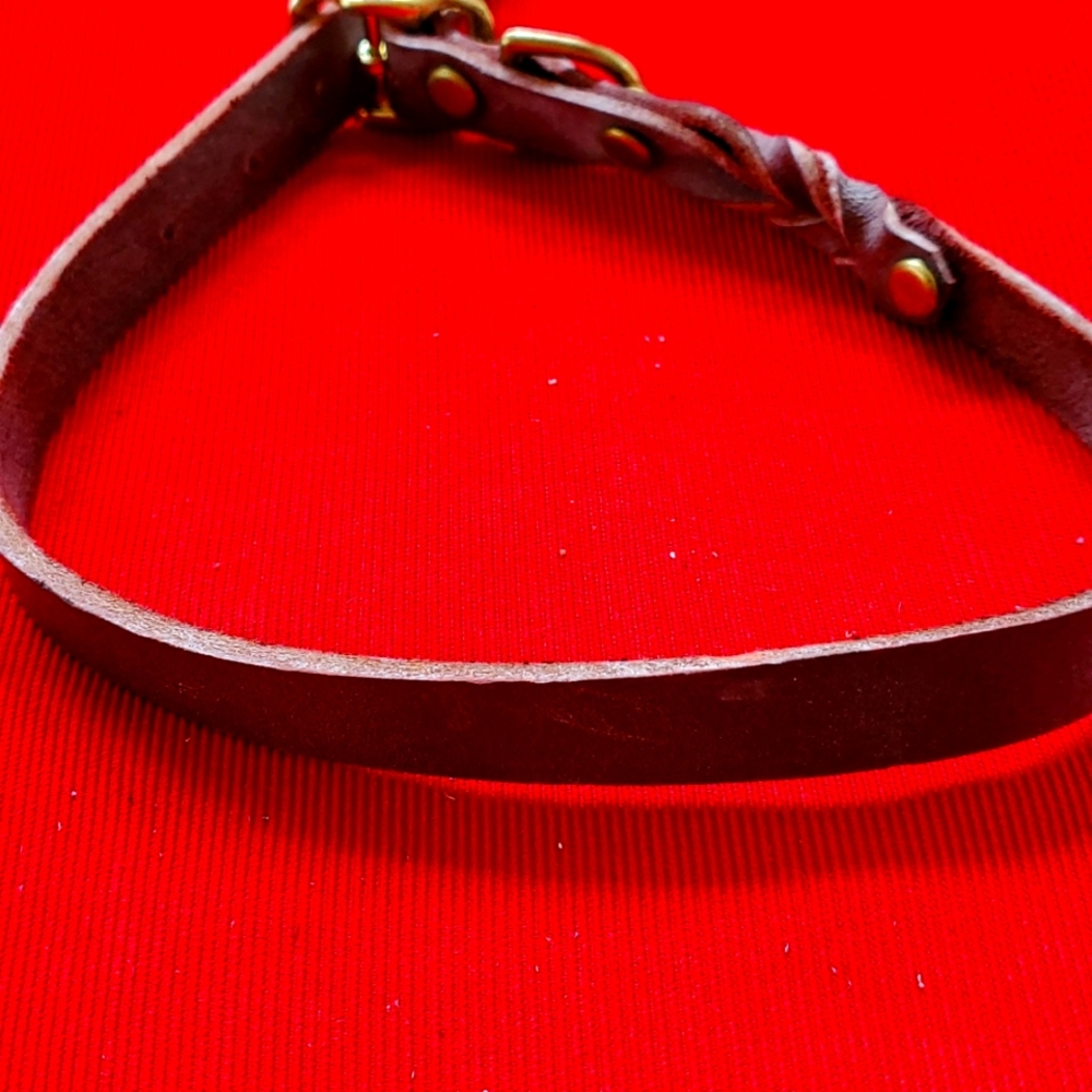 Brand New Leather Dog Collar Brown 18 inches